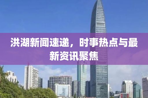 洪湖新闻速递，时事热点与最新资讯聚焦