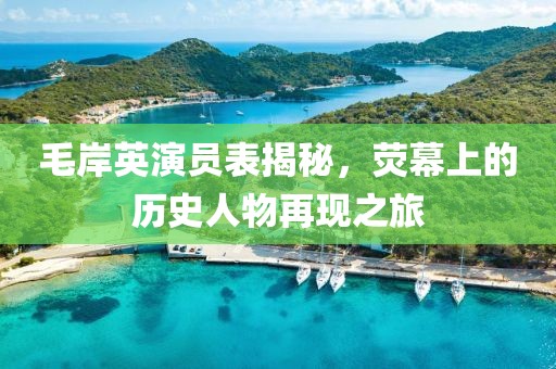 毛岸英演员表揭秘，荧幕上的历史人物再现之旅
