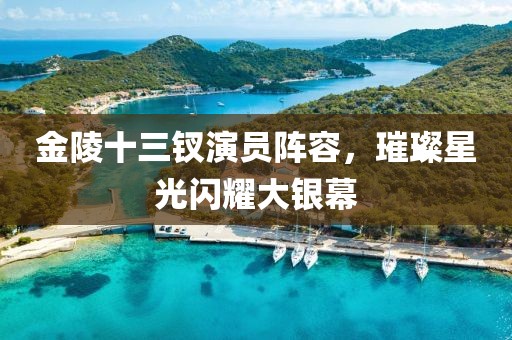 金陵十三钗演员阵容，璀璨星光闪耀大银幕