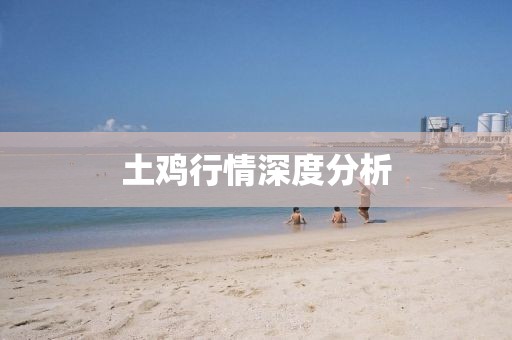 土鸡行情深度分析