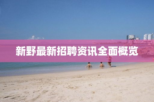 新野最新招聘资讯全面概览