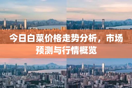 今日白菜价格走势分析，市场预测与行情概览