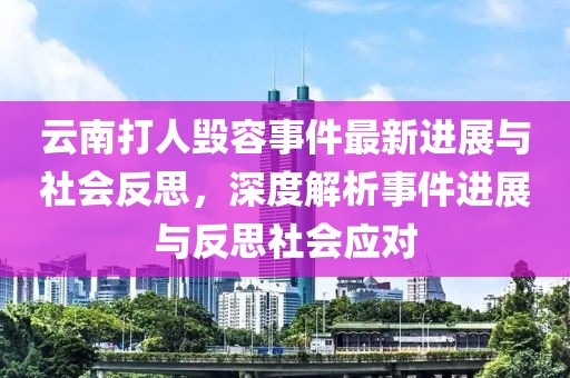 云南打人毁容事件最新进展与社会反思，深度解析事件进展与反思社会应对