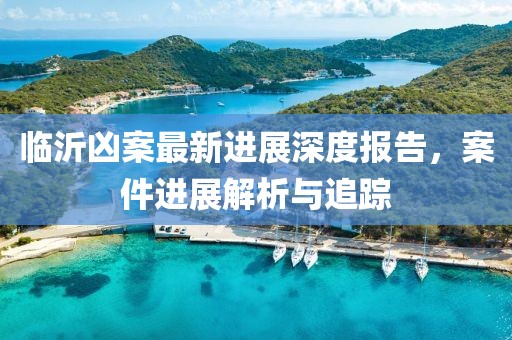 临沂凶案最新进展深度报告，案件进展解析与追踪
