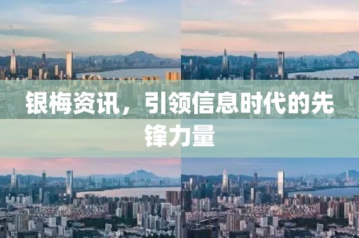 银梅资讯，引领信息时代的先锋力量