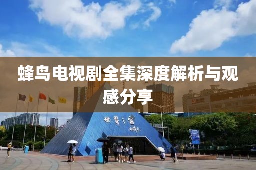 蜂鸟电视剧全集深度解析与观感分享