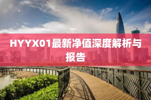 HYYX01最新净值深度解析与报告