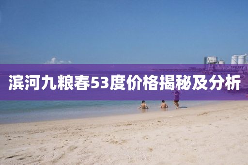 滨河九粮春53度价格揭秘及分析