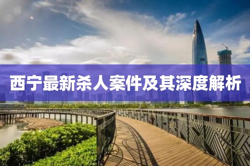 西宁最新杀人案件及其深度解析