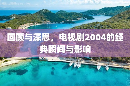 回顾与深思,电视剧2004的经典瞬间与影响