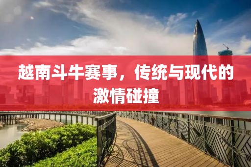 越南斗牛赛事，传统与现代的激情碰撞