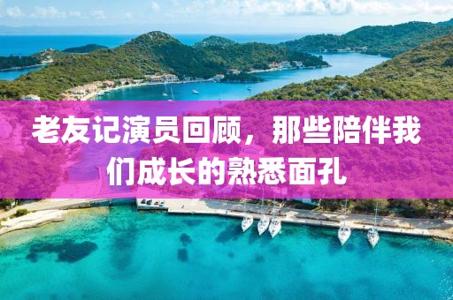 老友记演员回顾,那些陪伴我们成长的熟悉面孔