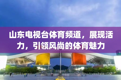 山东电视台体育频道,展现活力,引领风尚的体育魅力