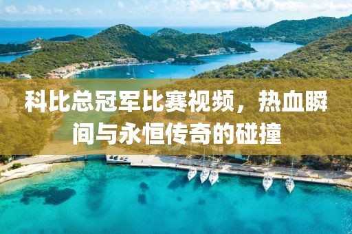 科比总冠军比赛视频,热血瞬间与永恒传奇的碰撞