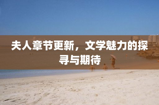 夫人章节更新,文学魅力的探寻与期待