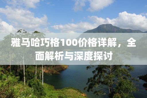 雅马哈巧格100价格详解,全面解析与深度探讨