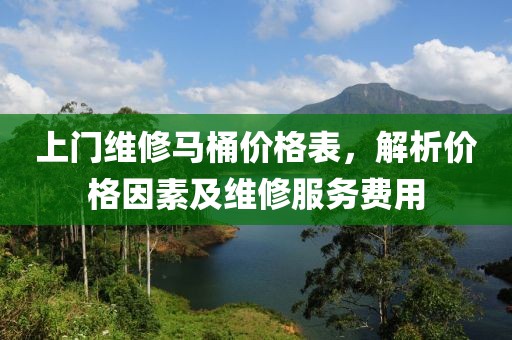 上门维修马桶价格表，解析价格因素及维修服务费用