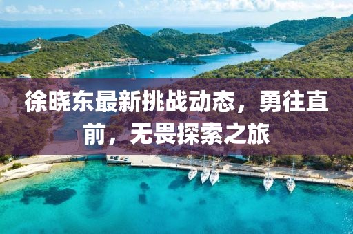 徐晓东最新挑战动态,勇往直前,无畏探索之旅
