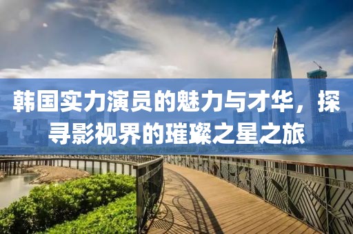 韩国实力演员的魅力与才华,探寻影视界的璀璨之星之旅