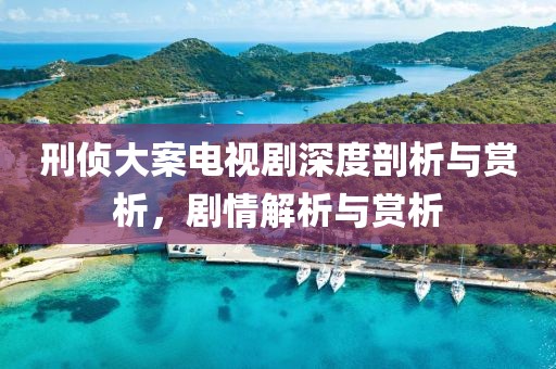 刑侦大案电视剧深度剖析与赏析，剧情解析与赏析