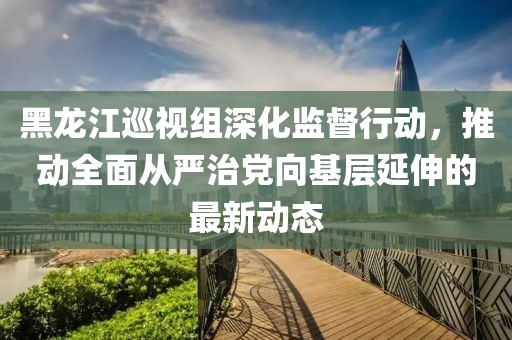 黑龙江巡视组深化监督行动，推动全面从严治党向基层延伸的最新动态