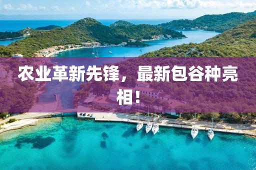 农业革新先锋，最新包谷种亮相！