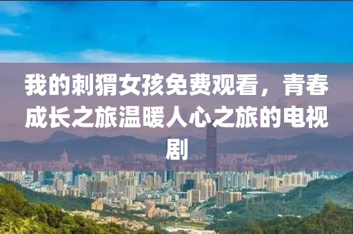 我的刺猬女孩免费观看，青春成长之旅温暖人心之旅的电视剧