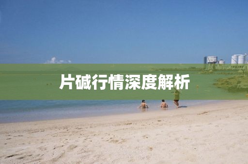 片碱行情深度解析