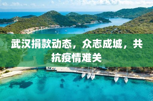 武汉捐款动态，众志成城，共抗疫情难关