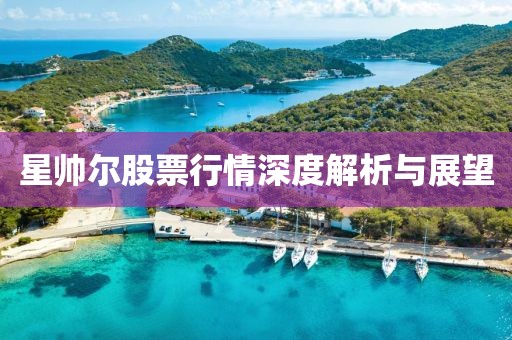 星帅尔股票行情深度解析与展望
