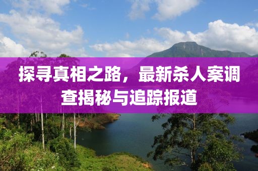 探寻真相之路，最新杀人案调查揭秘与追踪报道