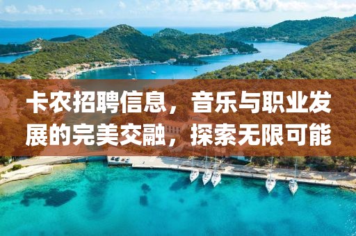 卡农招聘信息，音乐与职业发展的完美交融，探索无限可能