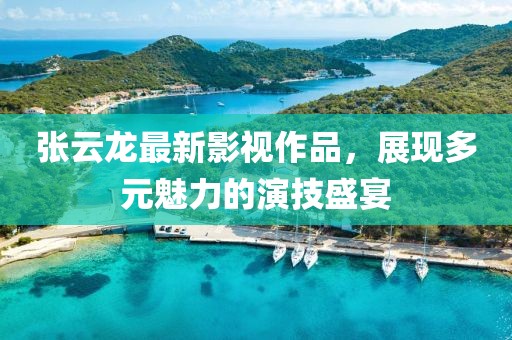 张云龙最新影视作品，展现多元魅力的演技盛宴