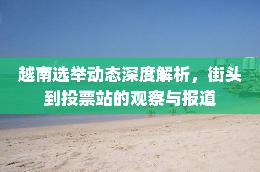 越南选举动态深度解析，街头到投票站的观察与报道