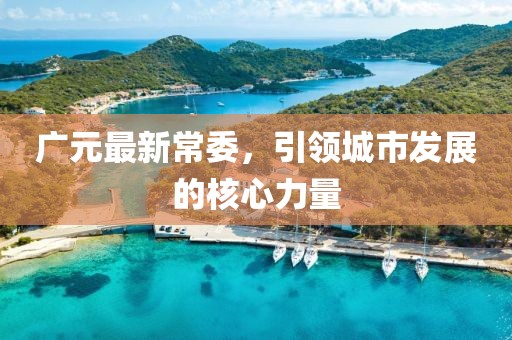 广元最新常委，引领城市发展的核心力量