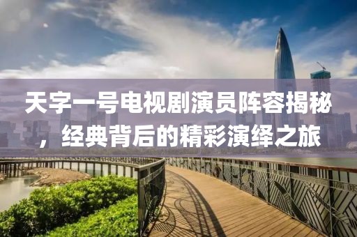 天字一号电视剧演员阵容揭秘，经典背后的精彩演绎之旅