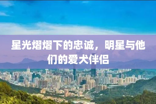 星光熠熠下的忠诚，明星与他们的爱犬伴侣