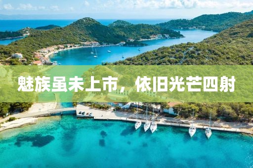 魅族虽未上市，依旧光芒四射