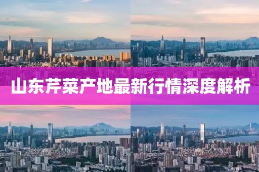 山东芹菜产地最新行情深度解析