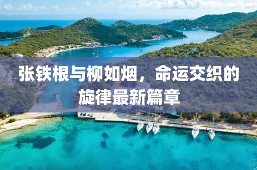落花满天飞 第16页