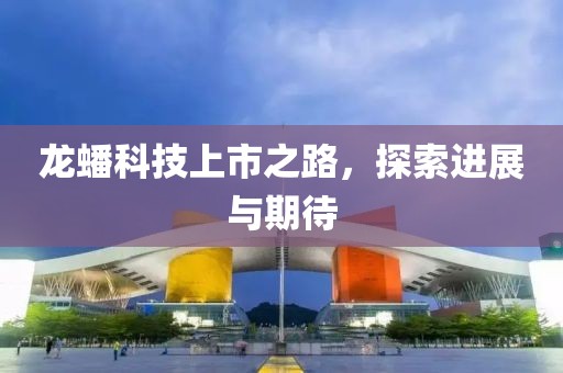 龙蟠科技上市之路，探索进展与期待