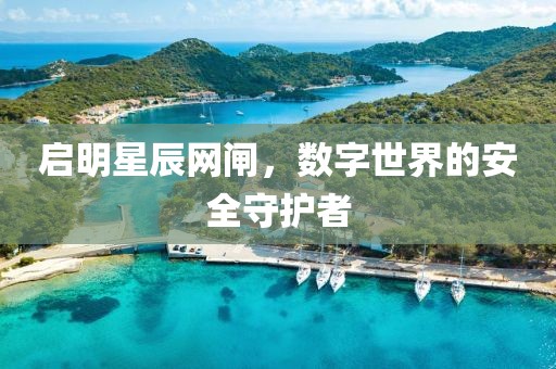 启明星辰网闸，数字世界的安全守护者