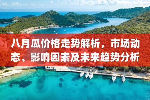 八月瓜价格走势解析，市场动态、影响因素及未来趋势分析