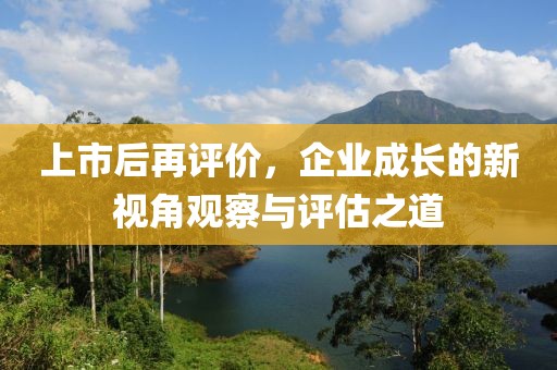 上市后再评价，企业成长的新视角观察与评估之道