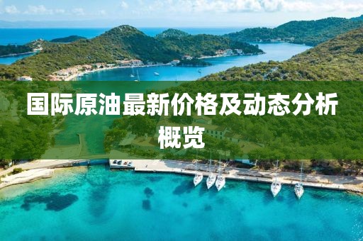 国际原油最新价格及动态分析概览