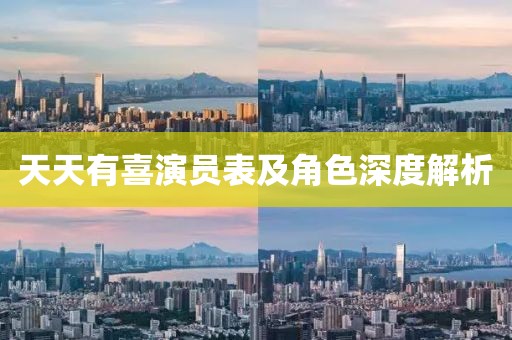 天天有喜演员表及角色深度解析