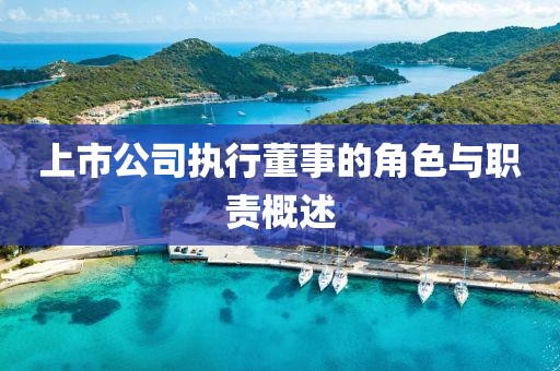 上市公司执行董事的角色与职责概述