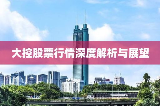 大控股票行情深度解析与展望