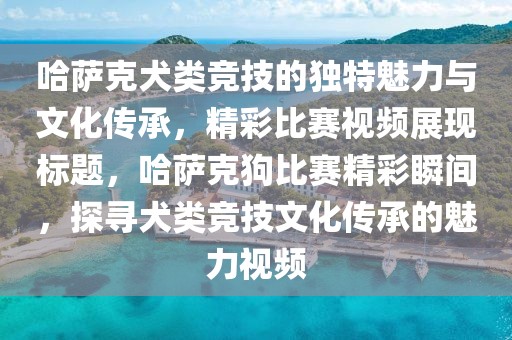 哈萨克犬类竞技的独特魅力与文化传承，精彩比赛视频展现标题，哈萨克狗比赛精彩瞬间，探寻犬类竞技文化传承的魅力视频