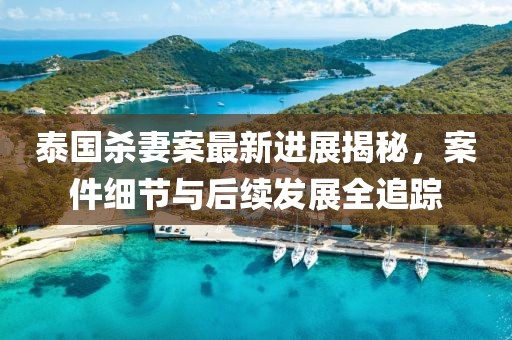 泰国杀妻案最新进展揭秘，案件细节与后续发展全追踪